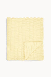 Lemon Sorbet